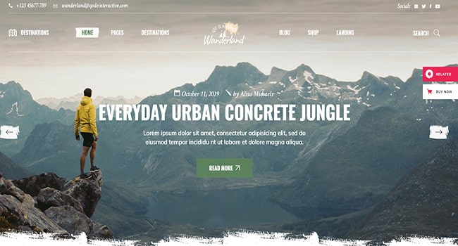 Mẫu giao diện web du lịch chuyên nghiệp